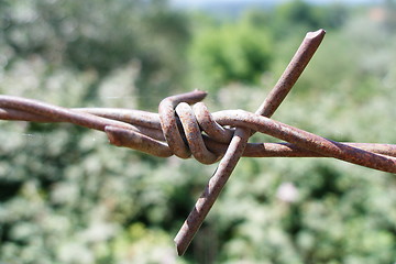 Image showing barbed wire