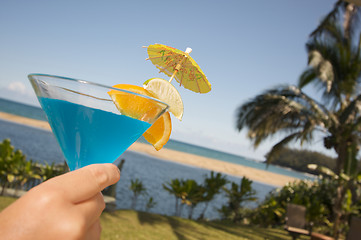 Image showing Tropical Drinks