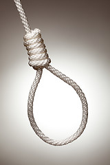 Image showing Hangman's Noose