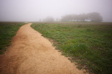 Image showing Foggy Countryside and Oak Trees