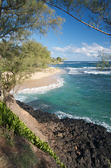 Image showing Tropical Shoreline