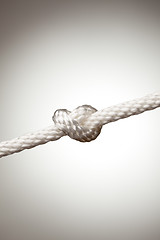 Image showing Nylon Rope Knot