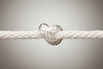 Image showing Nylon Rope Knot