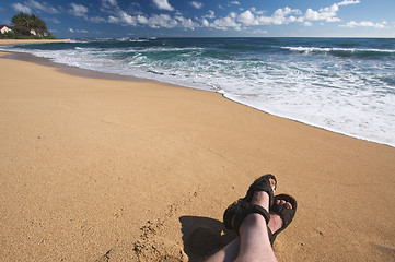 Image showing Man Relaxes on Tropical Shoreline