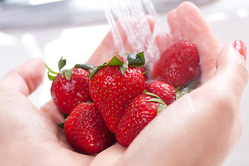 Image showing Woman Washing Strawberries