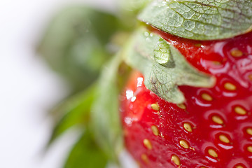 Image showing Macro of Strawberry