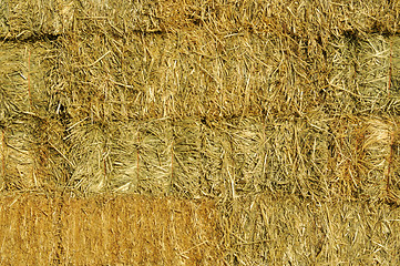 Image showing Stacked Straw Hay Bails