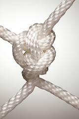 Image showing Nylon Rope Knot