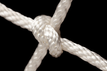 Image showing Nylon Rope Knot