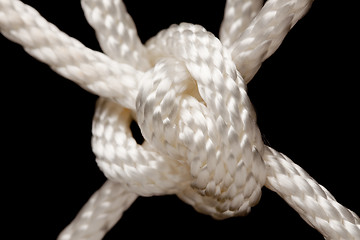 Image showing Nylon Rope Knot