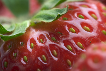 Image showing Close-up Strawberries