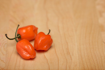 Image showing Orange Chili Peppers