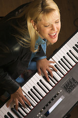 Image showing Female Musician Performs