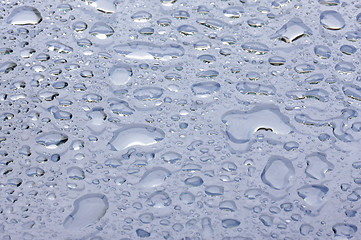 Image showing Water Drops on Glass