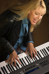 Image showing Female Musician Performs