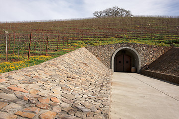 Image showing Vineyard Hillside with Cellar Entry and Trees