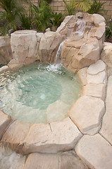 Image showing Tropical Custom Pool