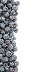 Image showing Fresh Blueberries Border