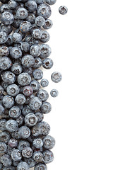 Image showing Fresh Blueberries Border