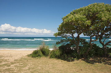 Image showing Inviting Tropical Shoreline