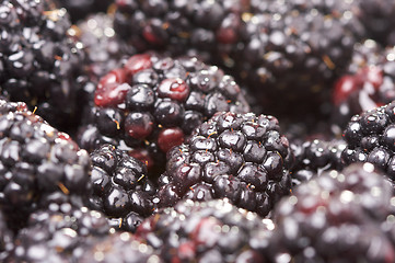 Image showing Macro Blackberries with Water Drops