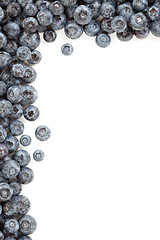 Image showing Fresh Blueberries Border