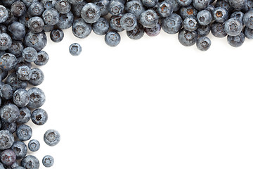 Image showing Fresh Blueberries Border