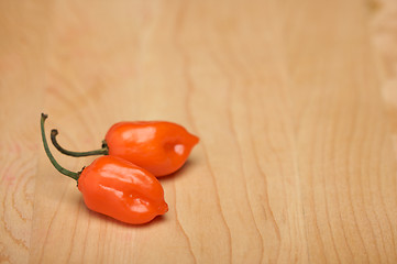 Image showing Orange Chili Peppers