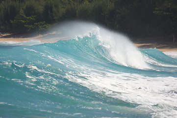 Image showing Dramatic Shorebreak Wave