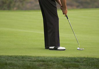 Image showing Golf Putting on the Green