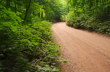 Image showing Country road and meadow.