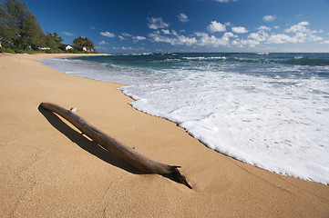 Image showing Tropical Shoreline