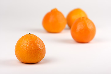 Image showing Clementine Oranges