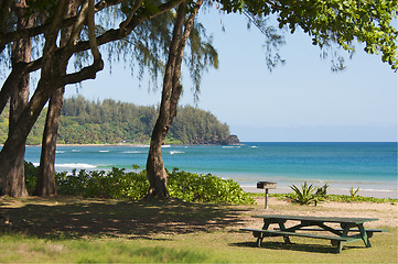 Image showing Inviting Tropical Park 