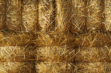 Image showing Stacked Straw Hay Bails