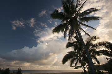 Image showing Tropical Sunset with Palm Trees