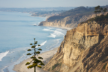 Image showing Torrey Pines Beach and Coastline