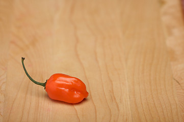 Image showing Orange Chili Pepper