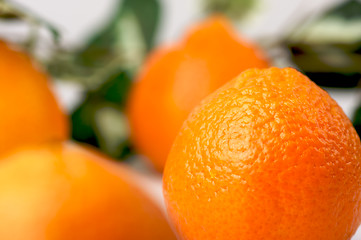 Image showing Clementine Oranges