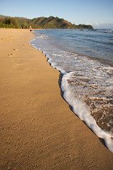 Image showing Early Monring Bay Jog on the Shoreline