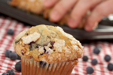 Image showing Fresh Blueberry Muffins