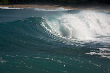 Image showing Dramatic Shorebreak Wave