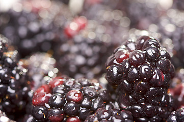 Image showing Macro Blackberries with Water Drops