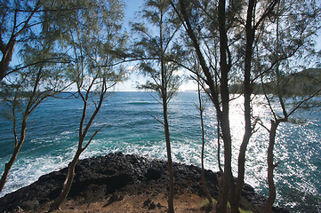 Image showing Tropical Shoreline