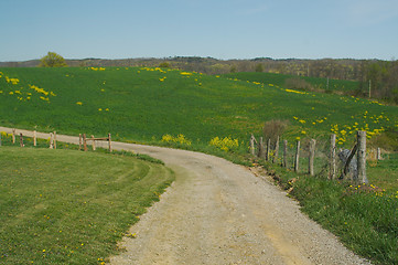 Image showing Country road and meadow.