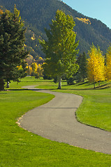 Image showing Aspen Golf Course with Pines