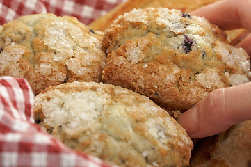 Image showing Blueberry Muffins in Basket