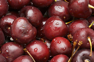 Image showing Bunch of Fresh Cherries