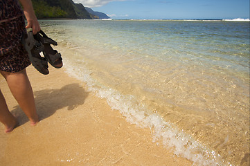 Image showing Crashing Wave on the Na Pali Shoreline