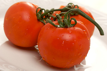 Image showing Fresh Red Tomatoes on White Plate